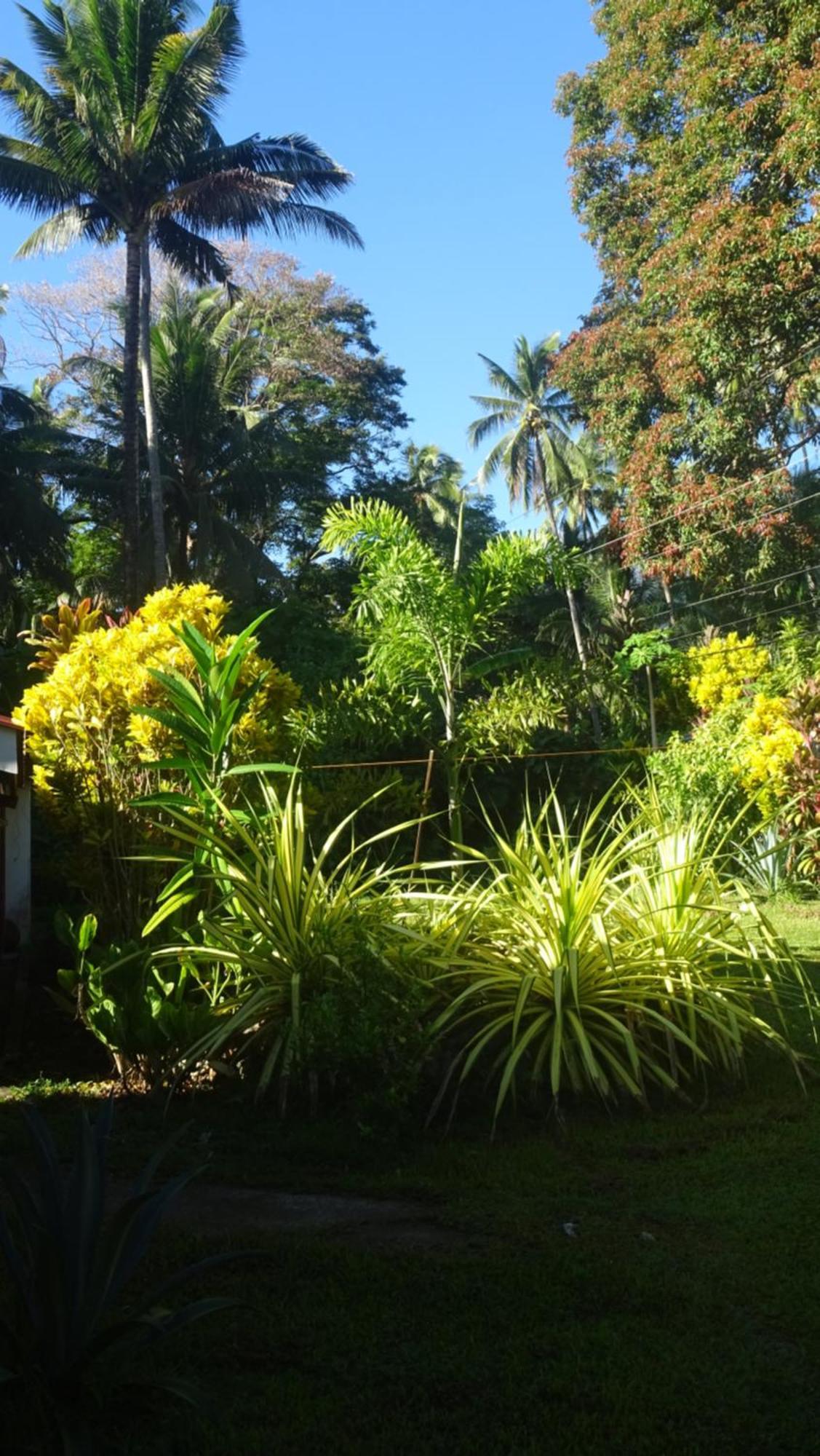 Acacia'S Cottages With Starlink Wifi Mambajao Exterior foto