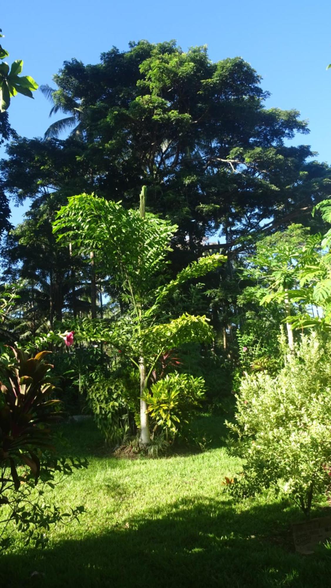 Acacia'S Cottages With Starlink Wifi Mambajao Exterior foto